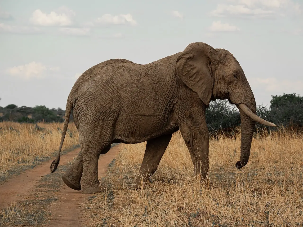East Africa’s AFCON 2027 Visa Plan: Why Can’t Tourists Travel Freely All Year?